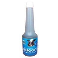 ENERGOVIT ENERGETICKÁ A VITAMÍNOVÁ PRÍSADA 600g
