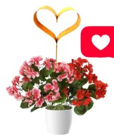 Srdiečko ZÁHRADNÝ KVETINÁČ dekorácia dekorácia šperk VALENTÍNSKY KVET