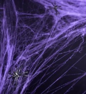 SPIDER WEB HALLOWEEN 60G FIALOVÁ