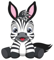 FÓLIOVÁ NÁLEPKA NA OKENNÉ SKLO ZEBRA ZRKADLO