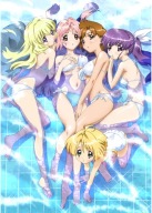 Anime Manga Girls Bravo plagát GBVO_001 A3