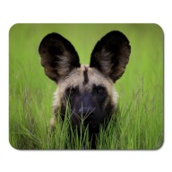 Podložka pod myš WILD ANIMALS