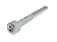 M6x40 SKRUTKOVÁ HLAVA DIN912 trieda 8,8 50ks