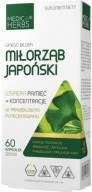 MEDICA HERBS GINGKOB LOAD 120 mg 60 kapsúl Zabraňuje tvorbe krvných zrazenín