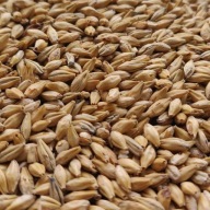 Karamel Pils slad 0,5kg Bestmalz - Nestrelený