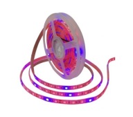 led pás 5050 ip20 1m pestovanie rastlín PESTOVANIE