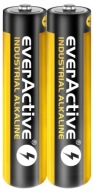 EverActive alkalické priemyselné batérie AAA 2 ks.
