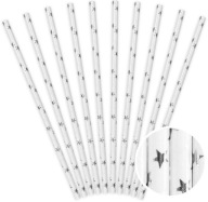 Strieborné papierové slamky CHROME STARS, 10 ks, metalizované narodeniny