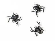 SPIDER SPIDER BLACK SET 10 KS. HALLOWEEN