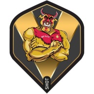 Šípkové pierka Michael Smith Bully Boy Gold Standard No2
