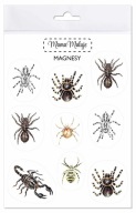 ARACHNIDOVÉ MAGNETY