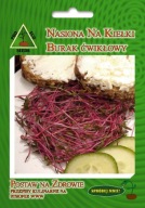 Semená červenej repy na klíčky