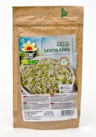 Semená lucerny Toraf 100g
