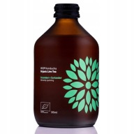 Kombucha Uhorka + Koriander BIO 330ml Vigo čaj