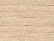 Schilsner ABS hrana X 36002 LN 22x2 Alder Panama Schilsner (R36002)