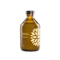 Kombucha zázvor + acerola (315ml) BIO - VIGO