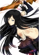 Plagát Anime Manga Castlevania CAS_016 A3 (vlastné)