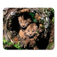 Podložka pod myš WILD ANIMALS JAGUAR