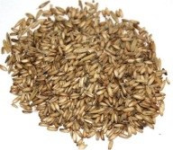 Ovos bez plevy, ovos nahý kŕmny 1 kg