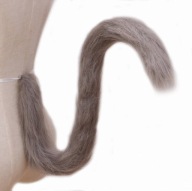 VLČÍ CHVOST VLK MAČKA VLK MAČKA DLHÁ ŠEDÁ 80 CM