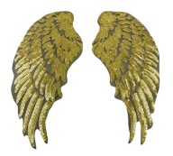 Tepelná nažehľovačka SEQUINS Golden Wings