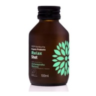 Kombucha BIO Probiotický Relax Shot 100ml - VIGO
