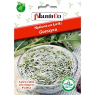 Horčičné semienka na klíčky 20g