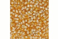 Popcorn Zrno Kukurica na pečenie 1kg