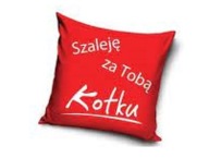 dekoračná OBLIECKA NA VANKÚŠ VALENTÍN love LOVE 40x40