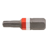 WURTH SKRUTKOVÝ BIT RW20 ASSY BIT 25MM 06147020