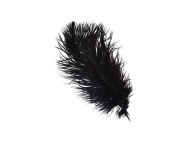 EROTICKÉ PIERKO Z PŠTROSA 20 CM PREDOHRA