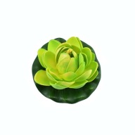 Lekno do jazierka, zelené, 10 cm