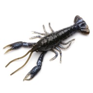 IMITÁCIA SAVAGE GEAR 4D CRAW - MAGIC CRAW