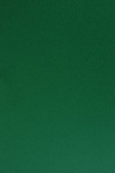Papier Sirio Col. 210g Foglia zelená - 25A4