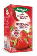 Herbapol čaj JAHODA S HORIZONTÁLNYM 20T