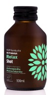 Kombucha Vigo Relax Shot 100 ml