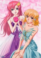 Kidou Senshi Gundam SEED msgs_047 A3 (vlastné)