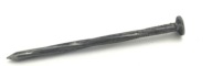 ČIERNE KRÚTANÉ KLINICE 2,5x65mm 1KG