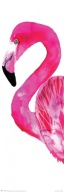 Plagát Sofie Rolfsdotter Pink Flamingo 30,5 x 91,5 cm