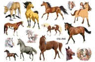 Odnímateľné tetovanie pre deti HORSES CG541