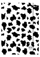Zložka A4 s gumičkou Black&White Cow