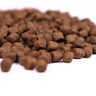Suché krmivo Dolina Noteci Piper morka 1kg pre mladých psov