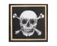 Piráti papierové obrúsky Pirátska párty 33 x 33 cm 20 ks.