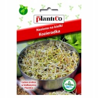 SEMIENKY KLÍKOV SENOVOROV PLANTICO 20g