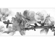 Samolepiaca dekoračná lišta na stenu Border, 25 cm/2 m
