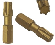 Bit TITANIZOVANÝ, hrot TORX TX20, 25mm