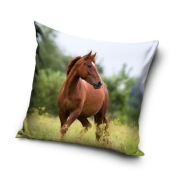 KONÍK NA VANKÚŠ 40x40 cm KONÍKY