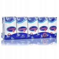 Okamžik, HYGIENICKÉ Utierky 10X10