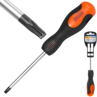 TORX SKRUTKOVAČ T25 x 100 mm CR-MO STEEL RICHMANN C5468