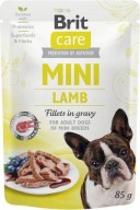 BRIT CARE MINI DOSPELÝ LAMB S JAHNIČKOU PRE PSOV 85g